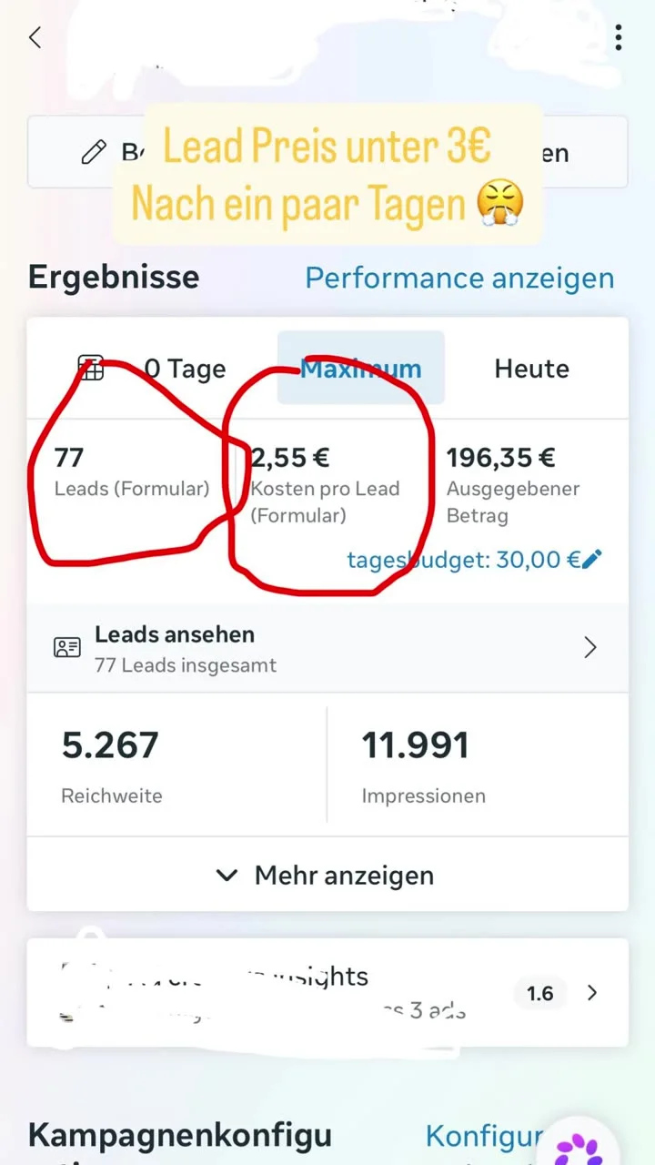 77 Leads zu je 2,55 € nach wenigen Tagen